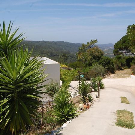 A Perfect Villa With Pool Terrace And Garden Alcobaca Exterior photo
