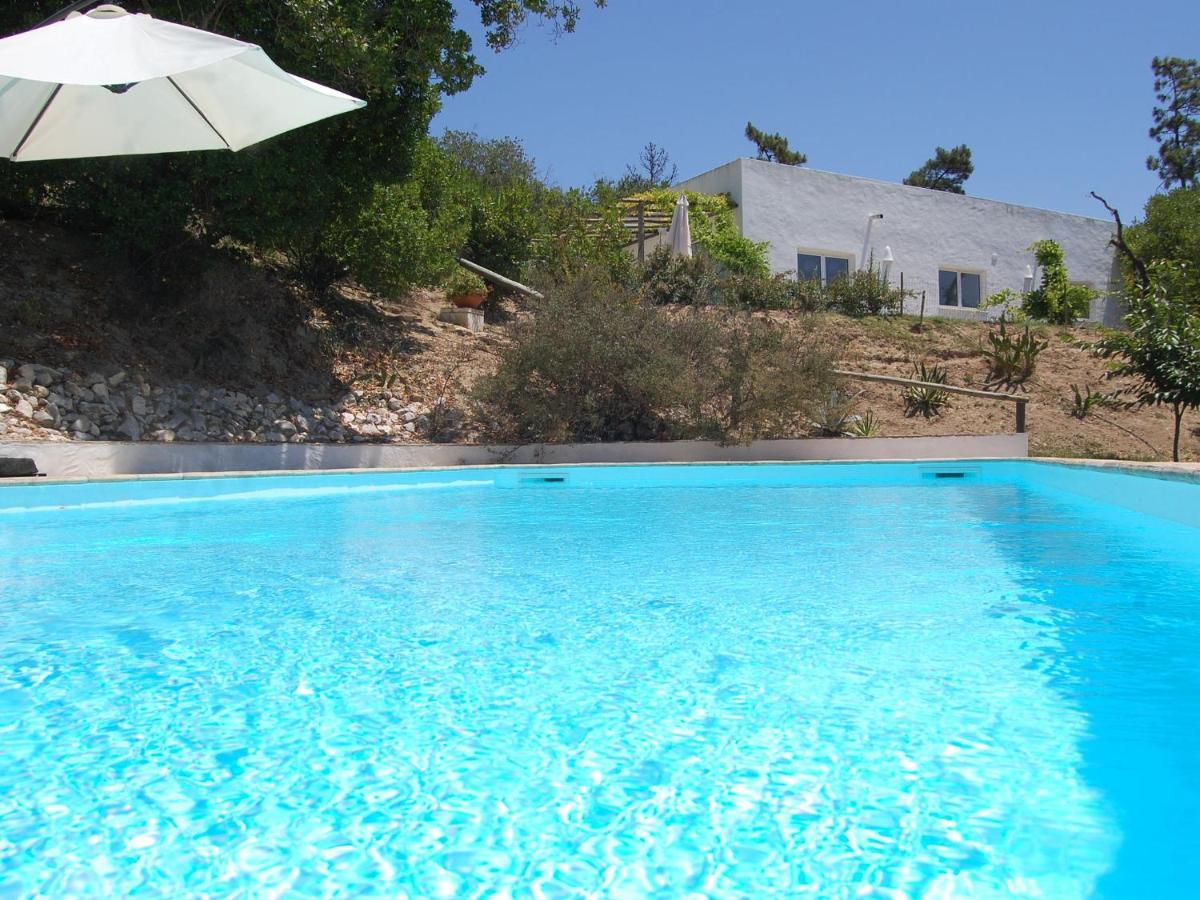 Perfect Villa In Alcoba A With Pool Terrace Garden Tourist Attractions Alcobaca Exterior photo