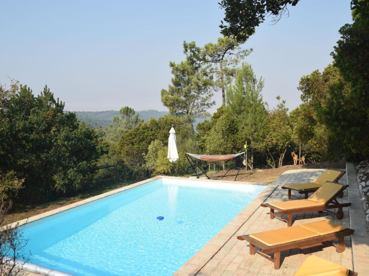 A Perfect Villa With Pool Terrace And Garden Alcobaca Exterior photo