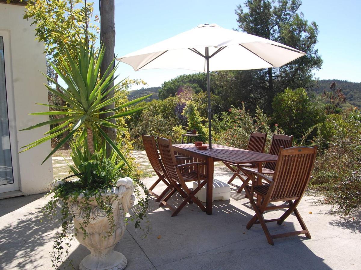 A Perfect Villa With Pool Terrace And Garden Alcobaca Exterior photo