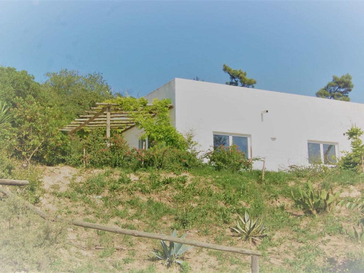 A Perfect Villa With Pool Terrace And Garden Alcobaca Exterior photo