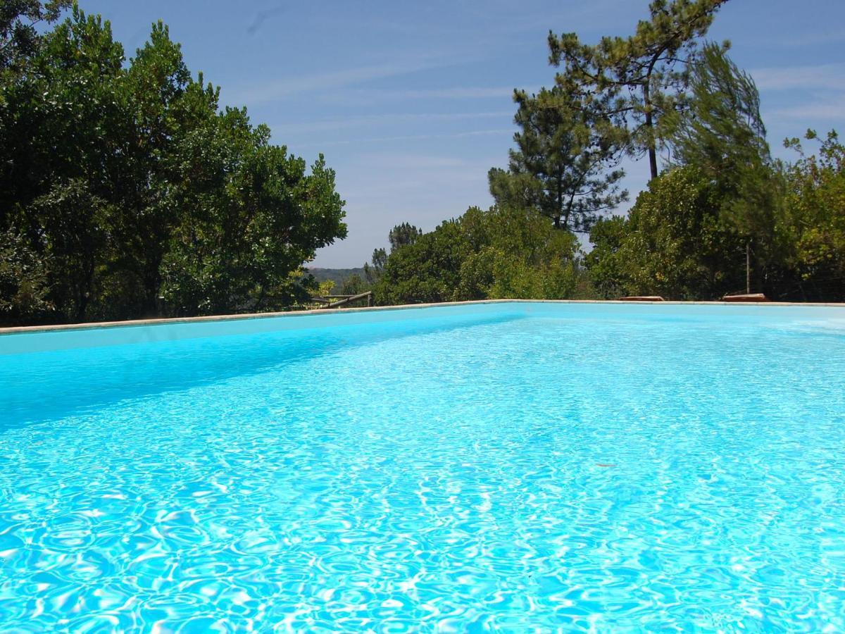 A Perfect Villa With Pool Terrace And Garden Alcobaca Exterior photo