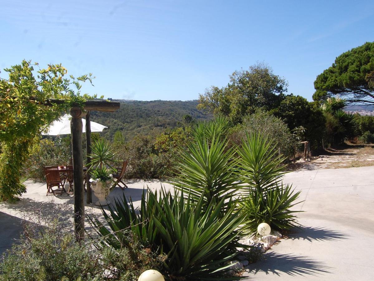 A Perfect Villa With Pool Terrace And Garden Alcobaca Exterior photo