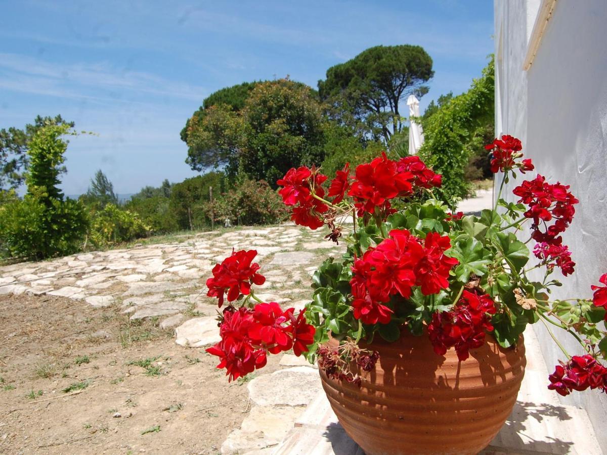 A Perfect Villa With Pool Terrace And Garden Alcobaca Exterior photo